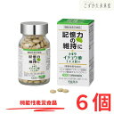 トキワ イチョウ葉エキス粒+(プラス) 90粒 6個セット 機能性表示食品 常盤薬品 ノエビアグループ