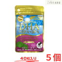 DHA+EPA+DPA レスベラトロール イチョウ葉エキス 40粒入り×5 広貫堂