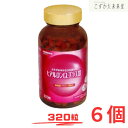 ヒアルロンQプラスIII 320粒 ×6セット ヒアルロン酸 ダイト株式会社