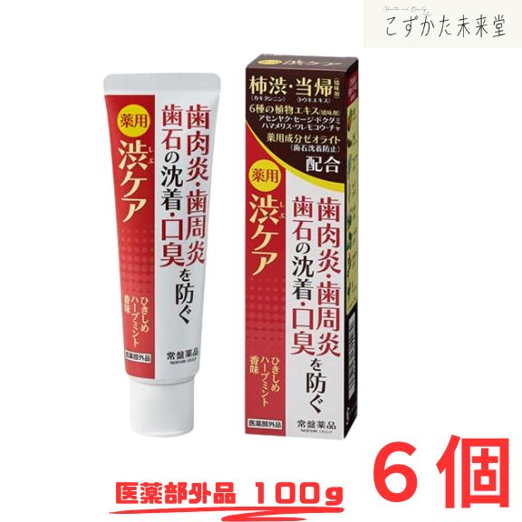 トキワ 薬用渋ケア 100g 6個セット 常盤薬品 医薬部外品