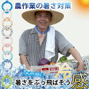 【正規取扱品】【あす楽+送料無料】暑さ対策 熱中症対策 ネッククーラー クールリング ネックリング ICE RING Mサイズ 大人用 おとな用 インターナショ...