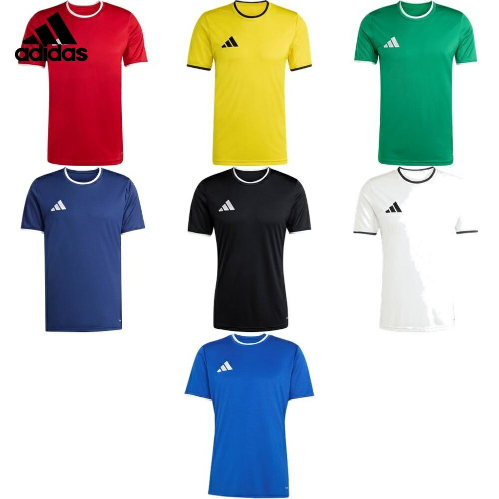 ���ǥ����� adidas ���å��������� ��� ����ȥ顼��26���㡼���� EA665 2026SS