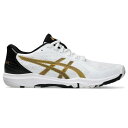 【10%OFFクーポン対象】アシックス asics 卓球シューズ ユニセックス DYNAFEATHER 1073A064-101
