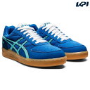 【全品10％OFFクーポン▼】アシックス asics ハンドボールシューズ メンズ スカイハンド J ...