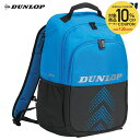 【全品10％OFFクーポン▼】ダンロップ DUNLOP テニスバッグ・ケース FX PRO LINE バックパック（テニスラケット2本収納可能） DTC-2382