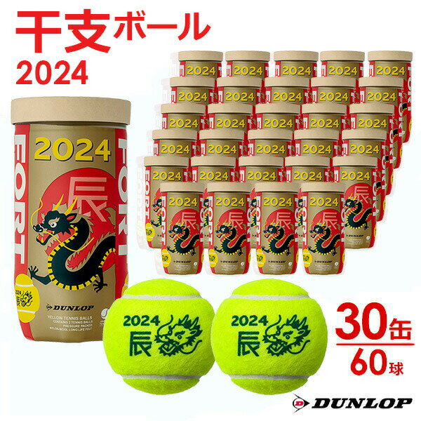 「あす楽対応」ダンロップ DUNLOP 硬式テニスボール 干支ボール 2024年「辰」FORT(フォート) 2個入 1箱(30缶/60球) DFF24ETOYL2『即日出荷』のサムネイル