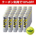 【10％OFFクーポン対象】DUNLOP(ダンロップ)FORT(フォート)[4個入]1箱(30缶/120球)テニスボール