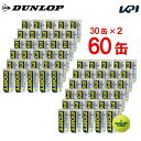 【全品10％OFFクーポン▼】【365日出荷】「あす楽対応」DUNLOP(ダンロップ)FORT(フォート) 2個入 2箱セット(30缶×2 120球)テニスボール 『即日出荷』