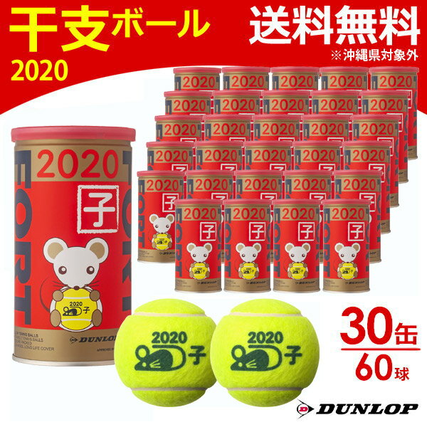 【全品10％OFFクーポン▼】「あす楽対応」ダンロップ DUNLOP テニステニスボール FORT( ...