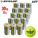 全品10％OFFクーポン 365日出荷 あす楽対応 2球入 15缶セット 箱なし DUNLOP ダンロップ FORT フォート 2個入 1缶 15 30球 テニスボール 即日出荷 