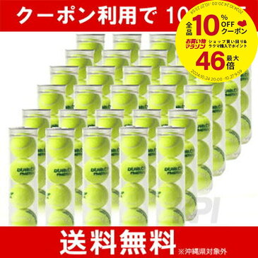 【10％OFFクーポン対象】DUNLOP(ダンロップ)プラクティス1箱(30缶＝120球)テニスボール