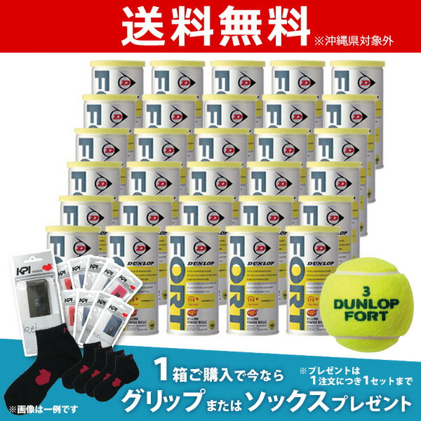 【全品10％OFFクーポン対象】「グリップ10本またはソックス5足プレゼント」DUNLOP（ダンロップ）「FORT（フォート）[2個入]1箱（30缶/60球）」テニスボール