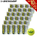 【全品10％OFFクーポン対象】DUNLOP（ダンロップ）「FORT（フォート）[2個入]1箱（30缶/60球）」テニスボール