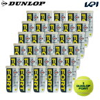 【全品10％OFFクーポン▼】【365日出荷】「あす楽対応」DUNLOP（ダンロップ）「FORT（フォート）[2個入]1箱（30缶/60球）」テニスボール 『即日出荷』