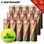 【全品10％OFFクーポン▼】【365日出荷】「あす楽対応」DUNLOP(ダンロップ)「St.JAMES(セントジェームス) 1箱（15缶/60球)」テニスボール 『即日出荷』