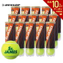 【全品10％OFFクーポン対象】DUNLOP(ダンロップ)「St.JAMES(セントジェームス)（15缶/60球)」テニスボール