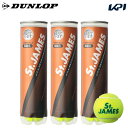 【全品10％OFFクーポン▼】【365日出荷】「あす楽対応」DUNLOP(ダンロップ)「St.JAMES(セントジェームス) （3缶/12球)」テニスボール 『即日出荷』