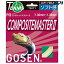 【全品10％OFFクーポン▼】「あす楽対応」GOSEN（ゴーセン）【エフジー コンポジットマスター2(FG COMPOSITEMASTER II)(TS071)】 硬式テニスストリング（ガット）『即日出荷』【タイムセール08】