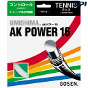 GOSEN（ゴーセン）「ウミシマAKパワー16 TS712」硬式テニスストリング（ガット）