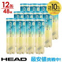 HEAD ヘッド HEAD PRO ヘッドプロ 4球入り1箱 12缶 48球 571714 テニスボール