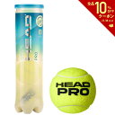 【全品10％OFFクーポン▼】【365日出荷】「あす楽対応」HEAD(ヘッド)「HEAD PRO（ヘ ...