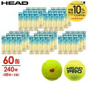 【10%OFFクーポン対象】ヘッド HEAD テニスボール 「KPIオリジナルモデル」HEAD PRO(ヘッドプロ)4球入り5箱(60缶/240球) 57712...