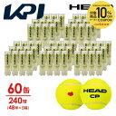 【10%OFFクーポン対象】「KPIオリジナルモデル」ヘッド HEAD テニスボール HEAD CP KPI(ヘッド・シーピー)4球入り5箱(60缶/240球)...