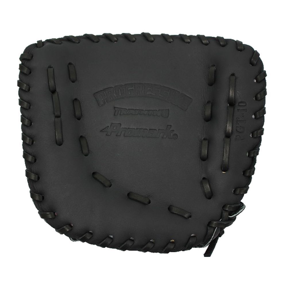 ��10��OFF�����ݥ��оݡۥ����饤�ǰ� ��夽��¾ �ż����𼰷��ѡ��ȥ졼�˥󥰥���� PGT-10N2