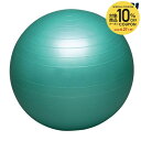 【10%OFFクーポン対象】ハタ HATAS マルチSP設備用品 バランスボールセイフティー 65cm DB65