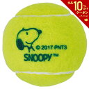 【全品10％OFFクーポン▼】サクライ貿易 テニスボール 硬式テニスボール　2P SN-450