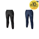 プーマ PUMA サッカーウェア メンズ teamFINAL PISTE パンツ 659124 2024SS