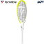 10OFFݥ󢧡ۥƥ˥եС Tecnifibre żƥ˥饱å TF-X1 V2 275 ƥ å 14TFX27541 14TFX27542 14TFX2754