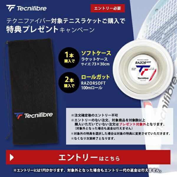 оݤΥƥ˥եС饱åȹŵץ쥼ȥڡ󥨥ȥ꡼ Tecnifibre entry-tecni25r4-p