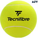 「あす楽対応」テクニファイバー Tecnifibre テニスアクセサリー ジャンボボール サインボール JUMBO BALL TFAA029 『即日出荷』