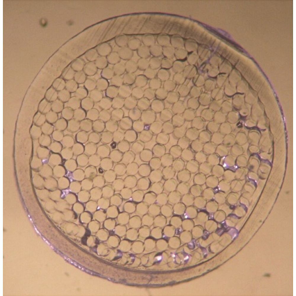 ������10��OFF�����ݥ�ۥȥ��륽�� TOALSON �ƥ˥����åȡ����ȥ�� ���ץ饲����130 BOX 7863010