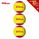 【全品10％OFFクーポン▼】「あす楽対応」Wilson（ウイルソン）「STARTER EASY BALL（スターター・イージー・ボール）…
