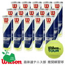 【全品10％OFFクーポン対象】「あす楽対応」Wilson(ウイルソン)「TOUR STANDARD（ツアー・スタンダード） 1箱（15缶） WRT103800」テニスボール 『即日出荷』