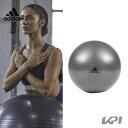 アディダス adidas 健康・ボディケアアクセサリー ジムボール55cm グレー ADBL11245GR ADBL11245