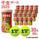 『即日出荷』ダンロップ DUNLOP テニステニスボール 干支ボール 2025年「巳」 FORT(フォート) 2個入 1箱(30缶/60球) DFF25ETOY...