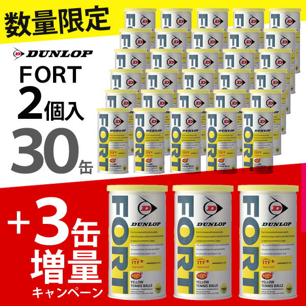 『即日出荷』【3缶増量パック】DUNLOP（ダンロップ）「FORT（フォート）[2個入]1箱(30缶＋3缶/66球)」テニスボール