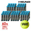 HEAD(ヘッド)「HEAD PRO(ヘッドプロ)4球入り5箱(60缶/240球) 571714」テニスボール『即日出荷』