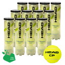 【SDGsプロジェクト】【365日出荷】「あす楽対応」HEAD(ヘッド)「HEAD CP(ヘッド・シーピー)4球入り1箱(12缶/48球) 577094」テニス...