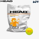 ヘッド HEAD テニスボール T.I.P.ORANGE ティーアイピーオレンジ 72球入 1ポリバッグ 578270