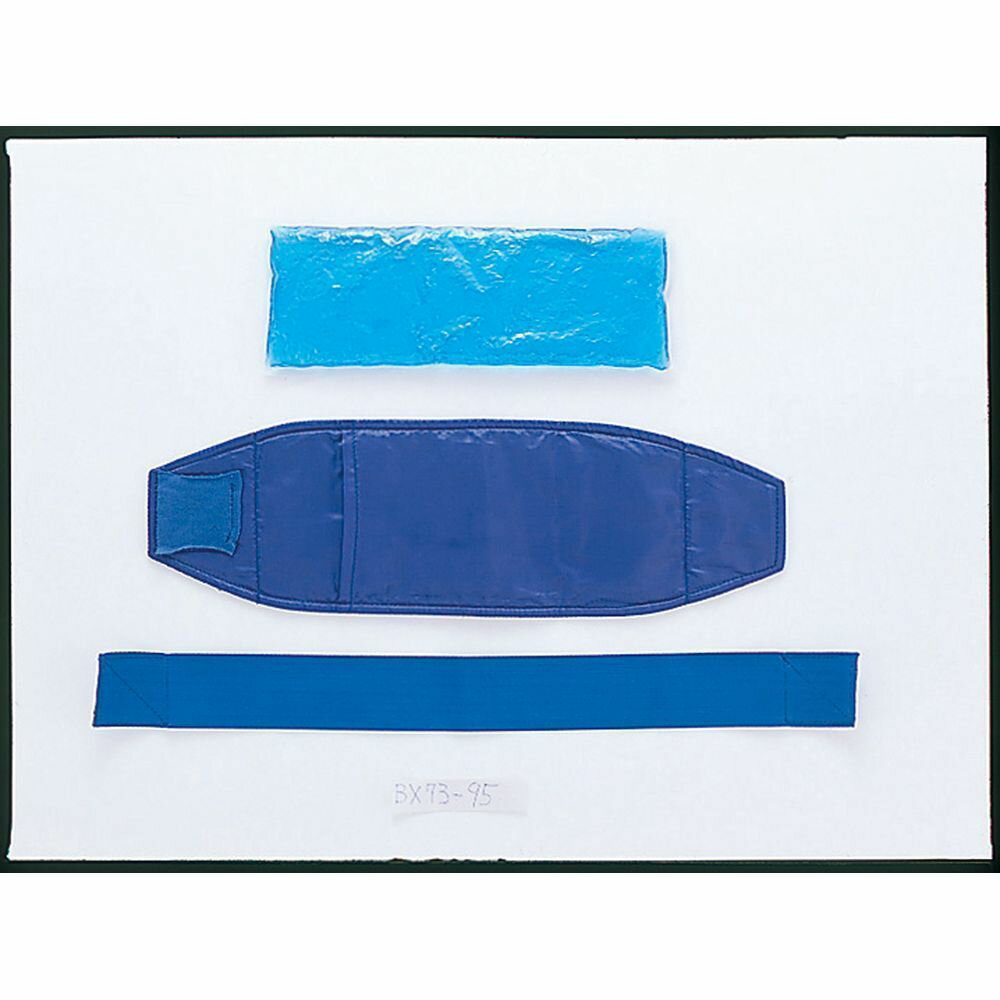 ユニックス 野球その他 アイシングセット(簡易タイプ) BX73-95