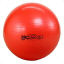 D&M 健康・ボディケア設備用品 SDSエクササイズボール(最大直径 55 cm) SDS55
