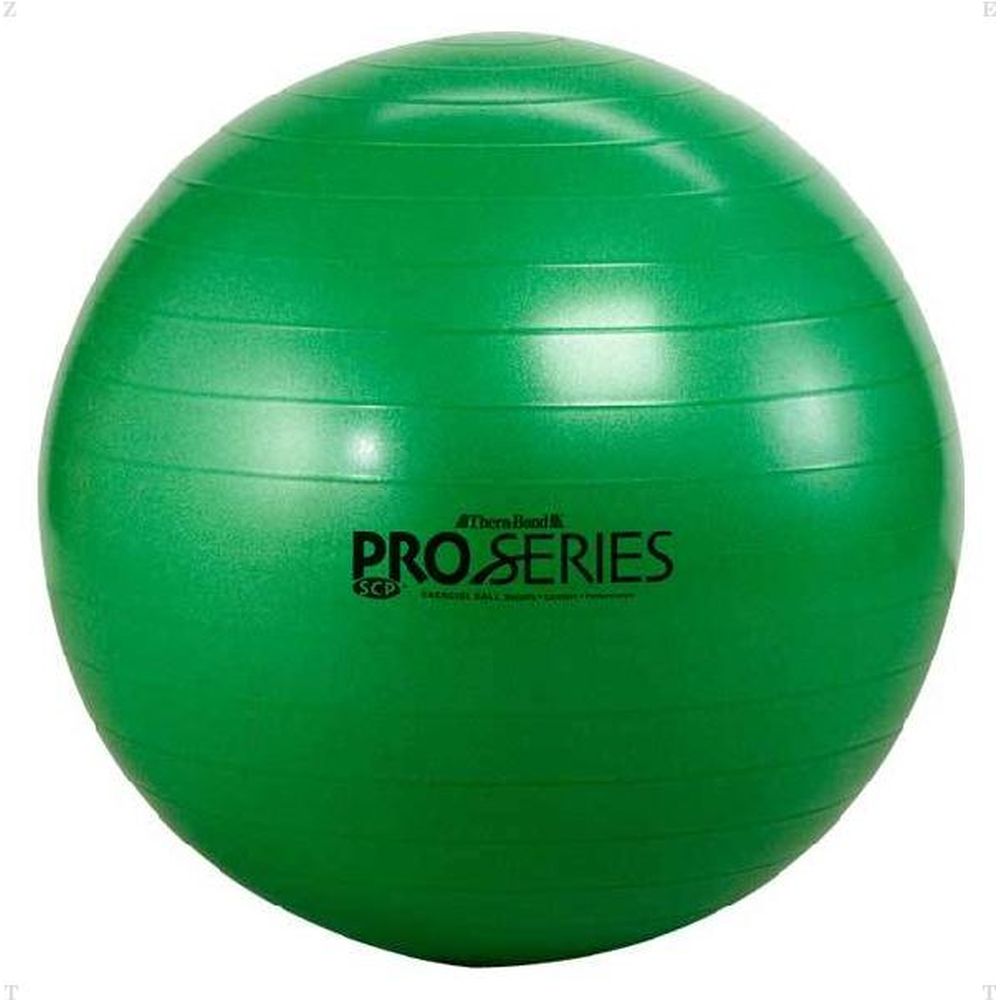 D&M 健康・ボディケア設備用品 SDSエクササイズボール(最大直径 65 cm) SDS65