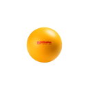 エバニュー EVERNEW フィットネス・エクササイズ用品 体つくり運動ボール ETE302