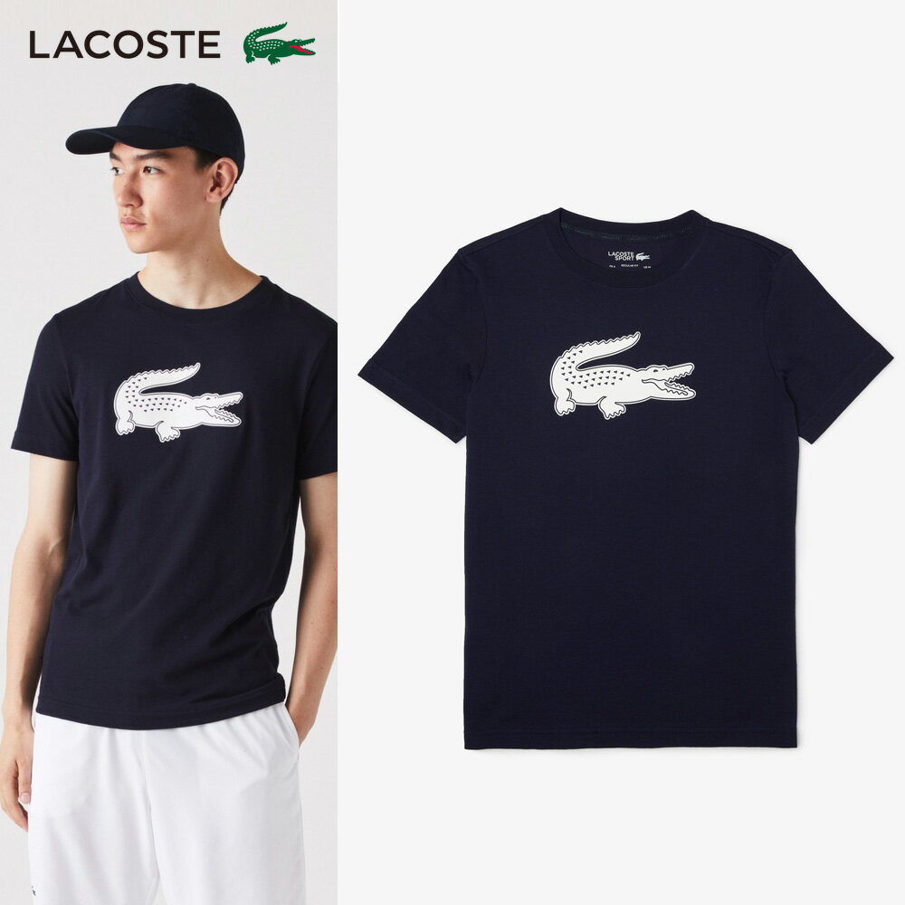 y365oׁzuyΉvRXe LACOSTE ejXEFA Y Rbguh EghCSvgTVc TH2042L-525 2022FWwoׁx