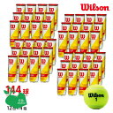 【SDGsプロジェクト】【4箱セット】Wilson(ウイルソン) CHAMPIONSHIP EXTRA DUTY(チャンピオンシップエクストラデューティー)(3...