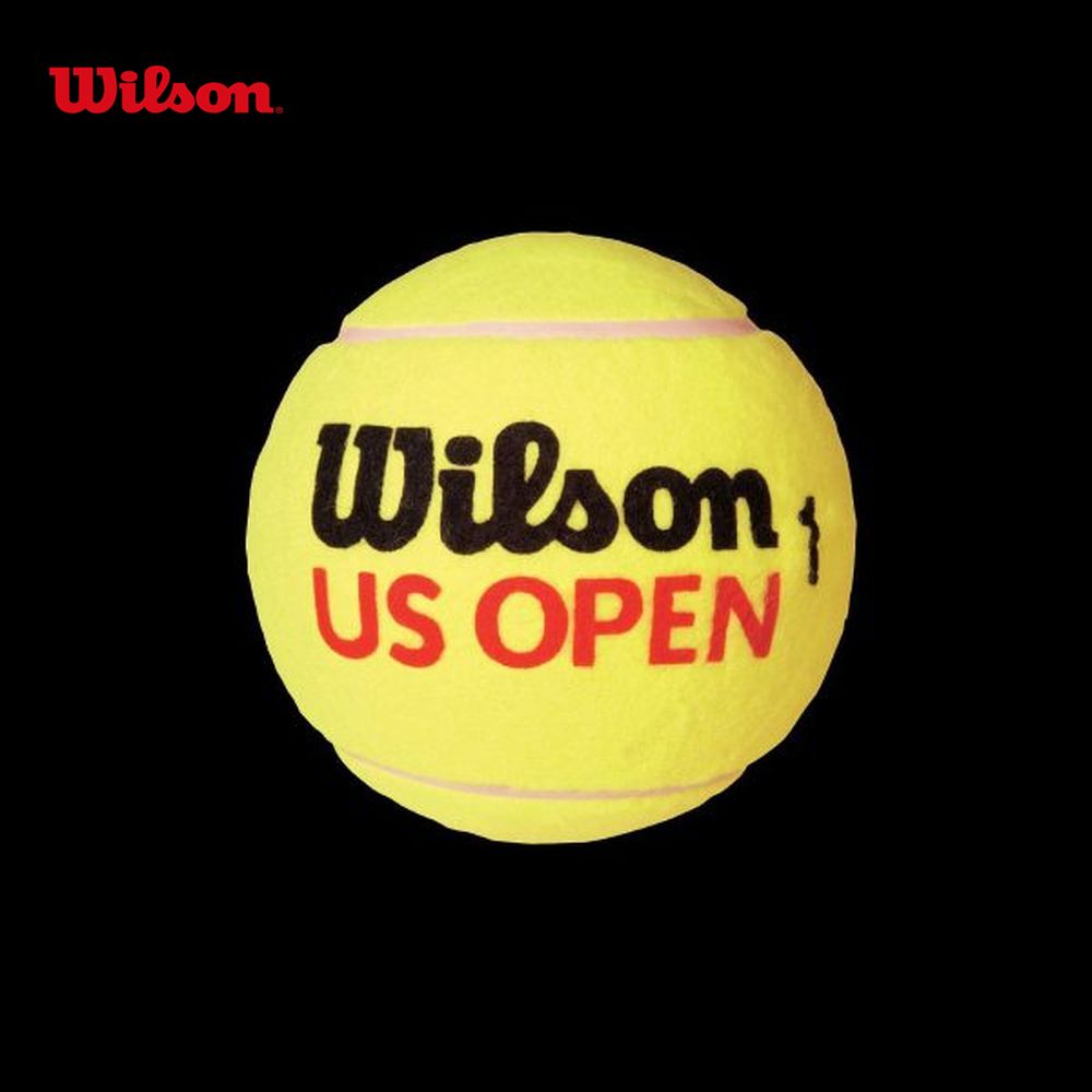 EC\ Wilson ejXANZT[ US OPEN 5 ~jW{T{[ WRT1415U